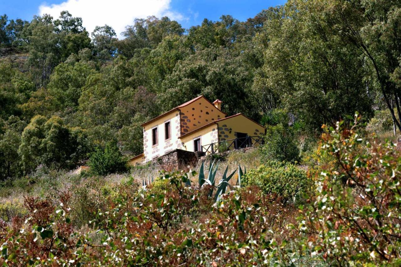 Casa Rural Las Caldereras Teror Exterior photo