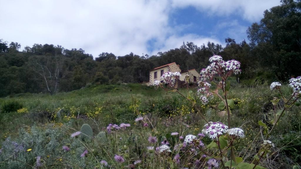 Casa Rural Las Caldereras Teror Exterior photo